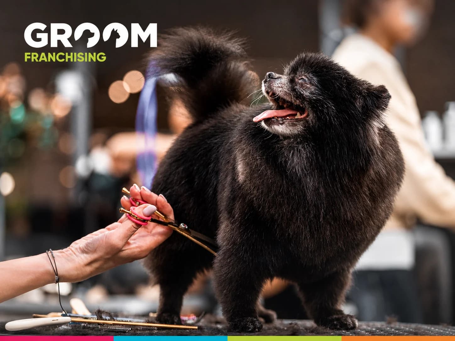 GROOM - slide 2
