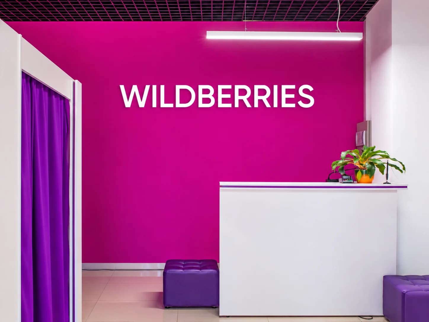 Wildberries (Вайлдберриз) - slide 3