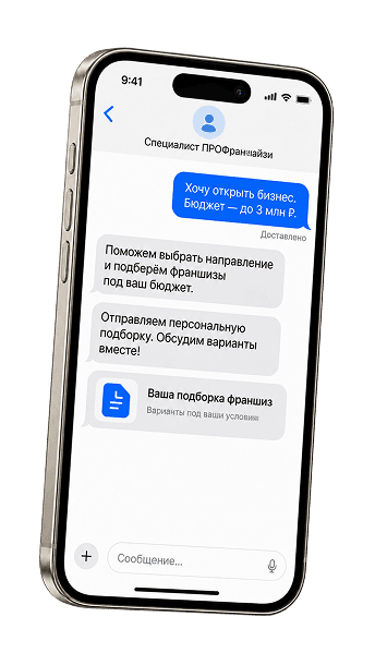 Персональный подбор франшизы в чате